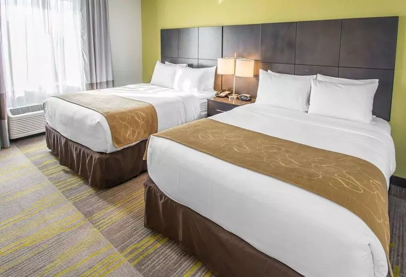 酒店 Comfort Suites Miami Airport North