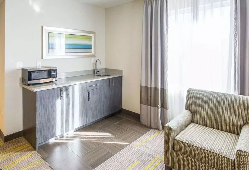 酒店 Comfort Suites Miami Airport North