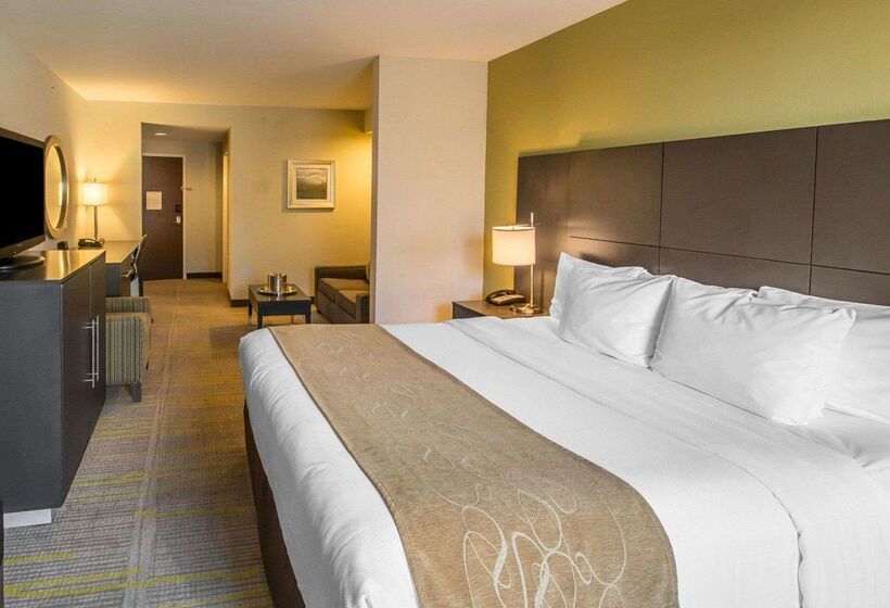 בית מלון כפרי Comfort Suites Miami Airport North