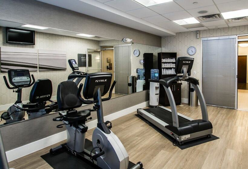 בית מלון כפרי Comfort Suites Miami Airport North