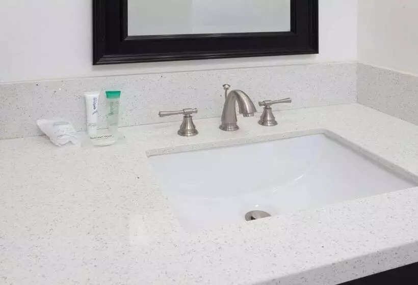 酒店 Knights Inn Los Angeles Central / Convention Center Area