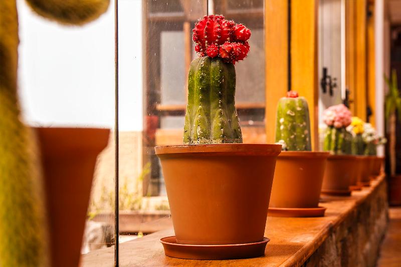 Hotel Monasterio San Pedro