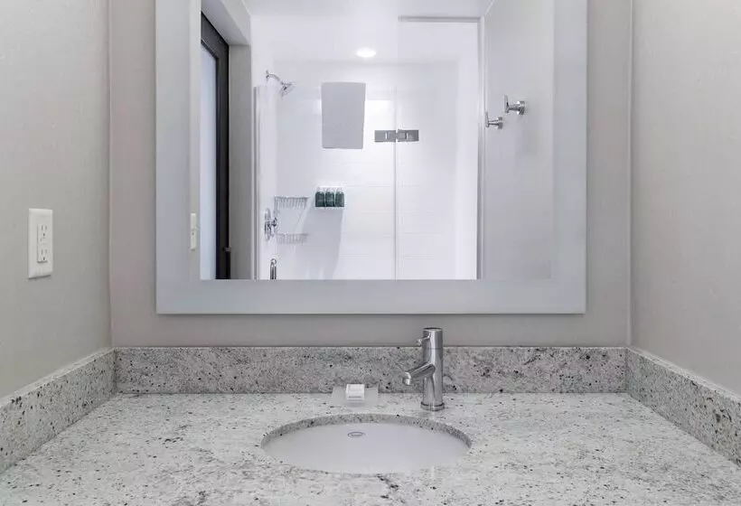 هتل Springhill Suites Alexandria Southwest