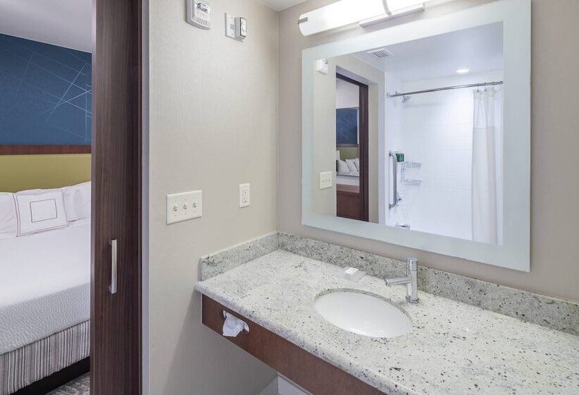 Otel Springhill Suites Alexandria Southwest