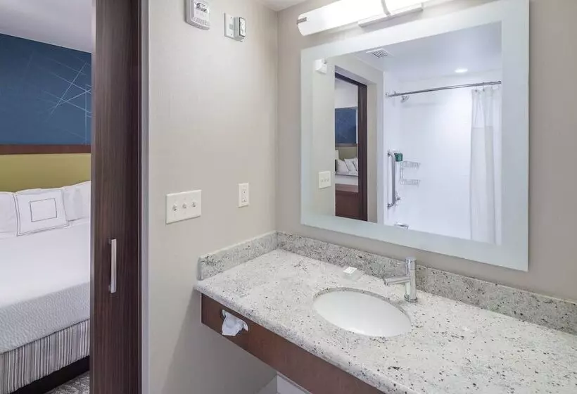 هتل Springhill Suites Alexandria Southwest