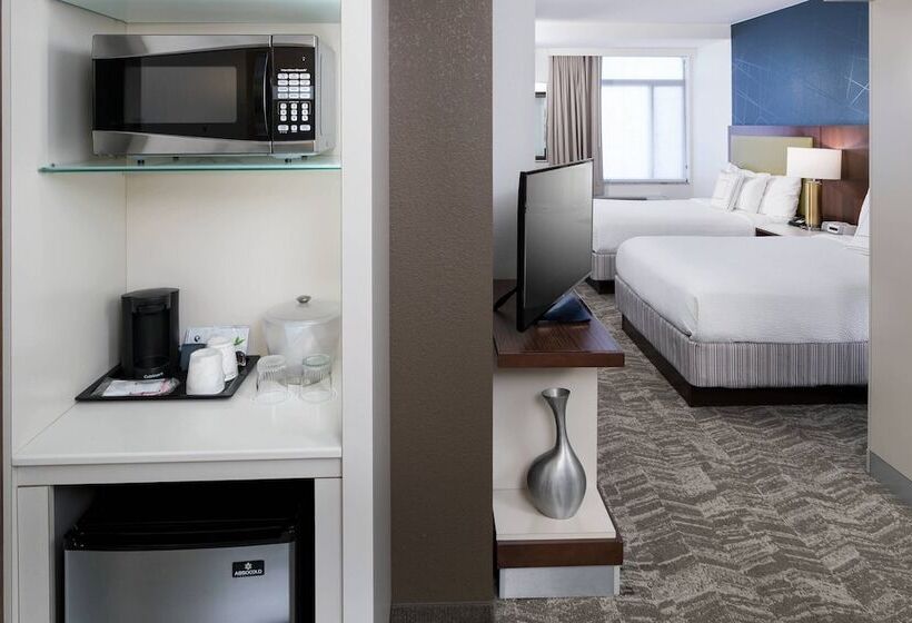 Otel Springhill Suites Alexandria Southwest