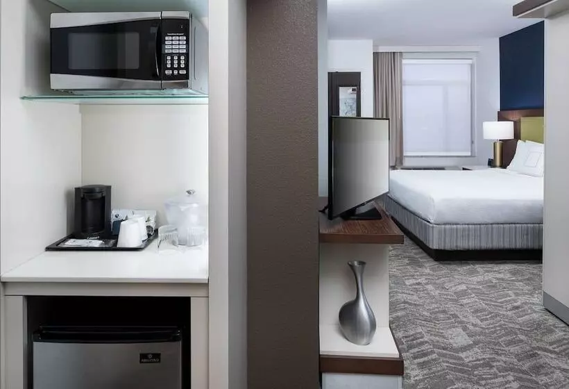 هتل Springhill Suites Alexandria Southwest