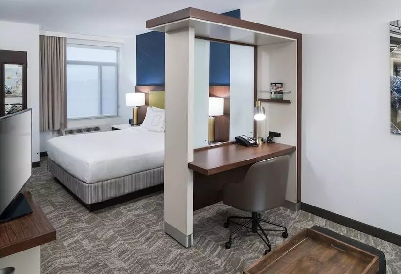 هتل Springhill Suites Alexandria Southwest