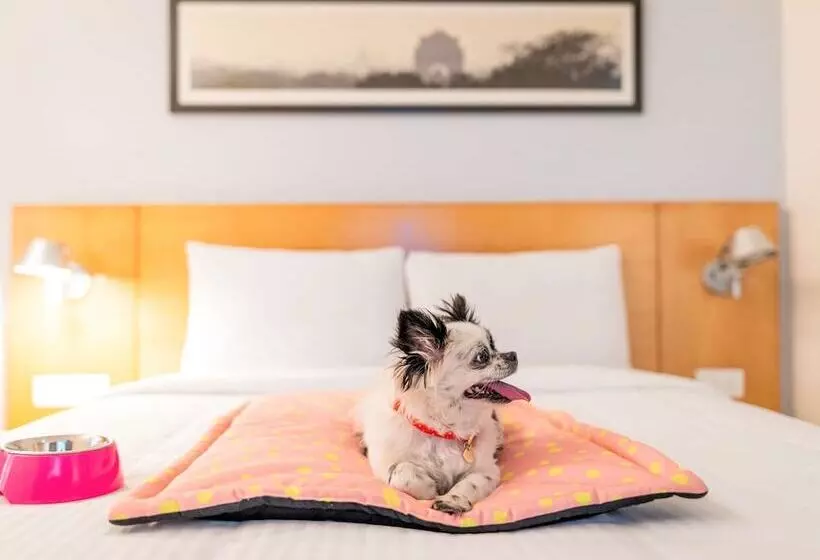 ホテル Ibis Bengaluru Hosur Road   An Accor Brand