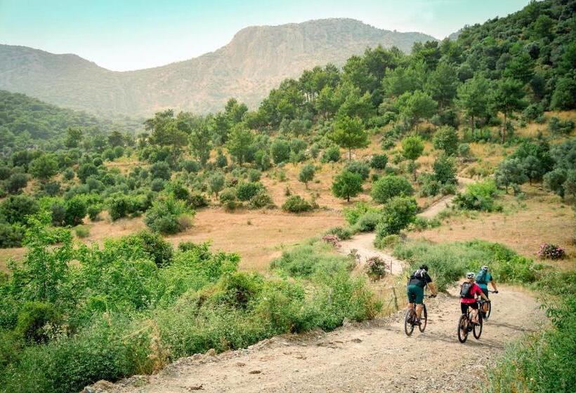 Hotel Robinson Sarigerme Park   All Inclusive