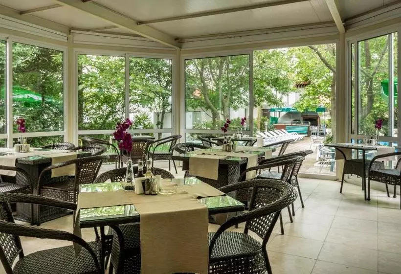 Svejest All Inclusive