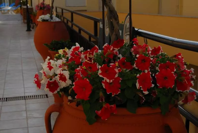 Elpis Studio Apartments