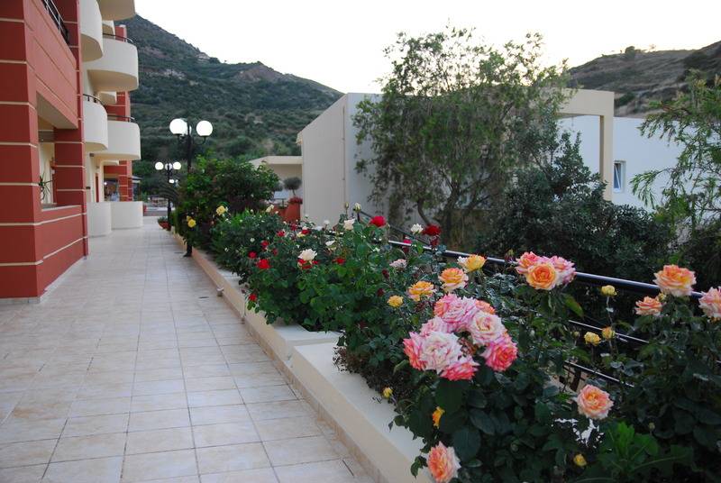 Elpis Studio Apartments