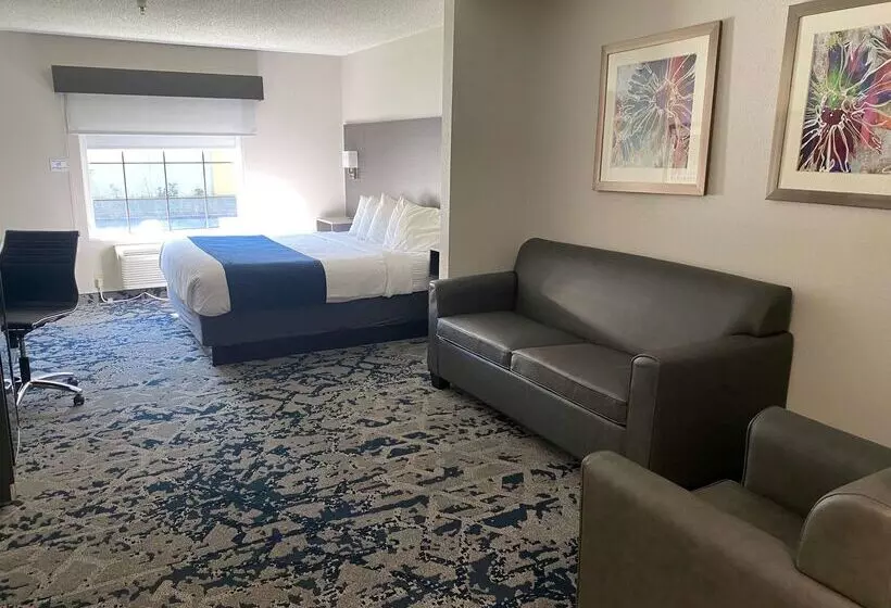 酒店 Best Western Allatoona Inn & Suites