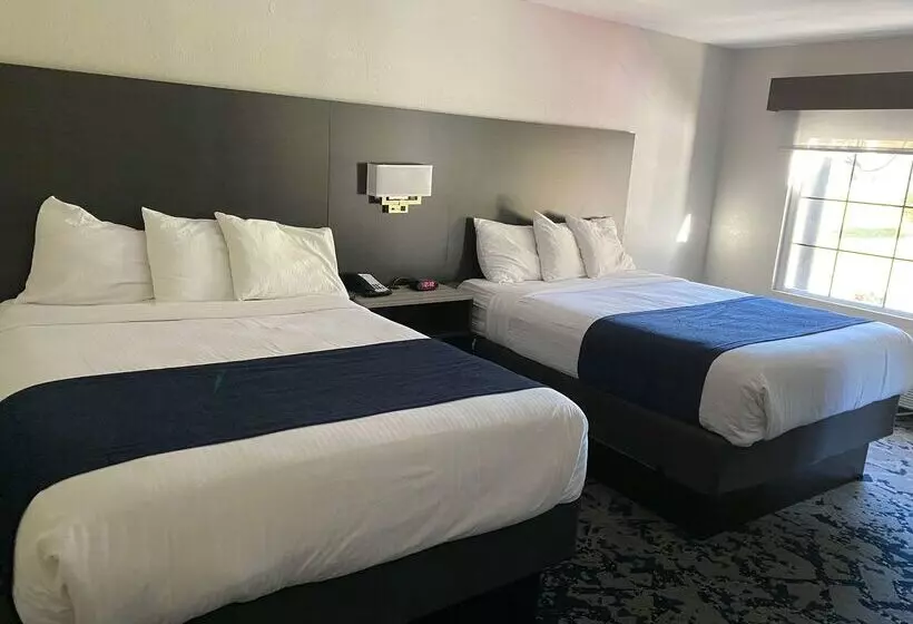 酒店 Best Western Allatoona Inn & Suites