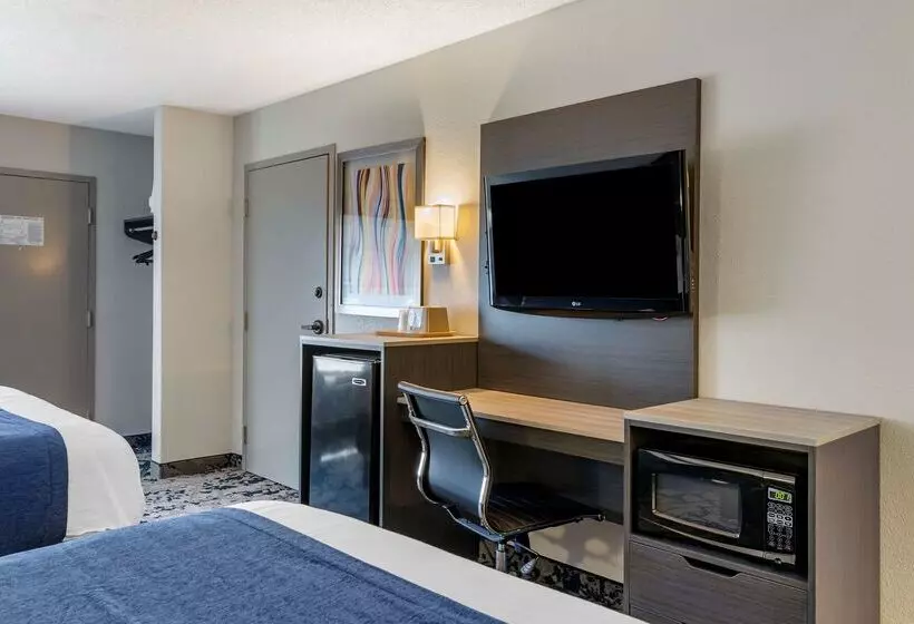 酒店 Best Western Allatoona Inn & Suites