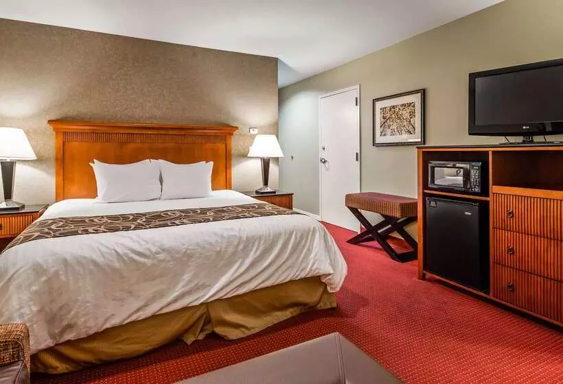 Отель Best Western Plus Canyon Pines