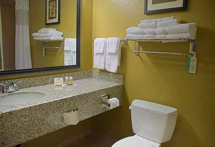 Отель Best Western Plus Canyon Pines