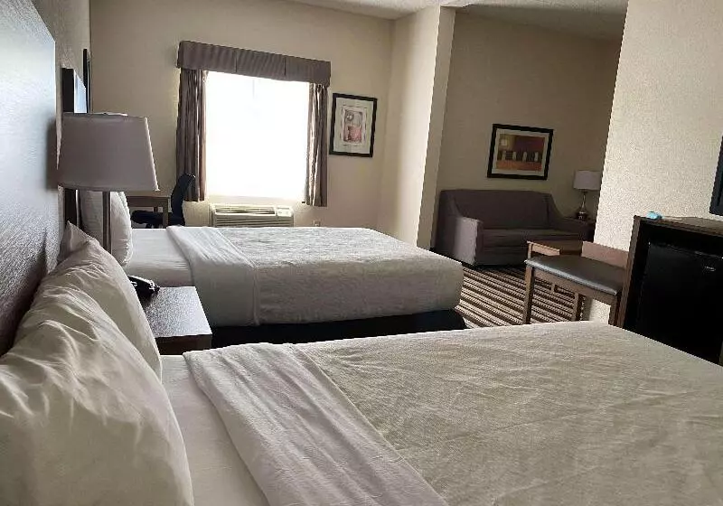 ホテル Best Western Windsor Inn And Suites