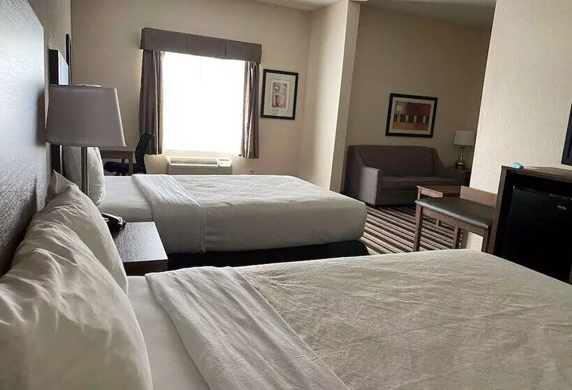 ホテル Best Western Windsor Inn And Suites