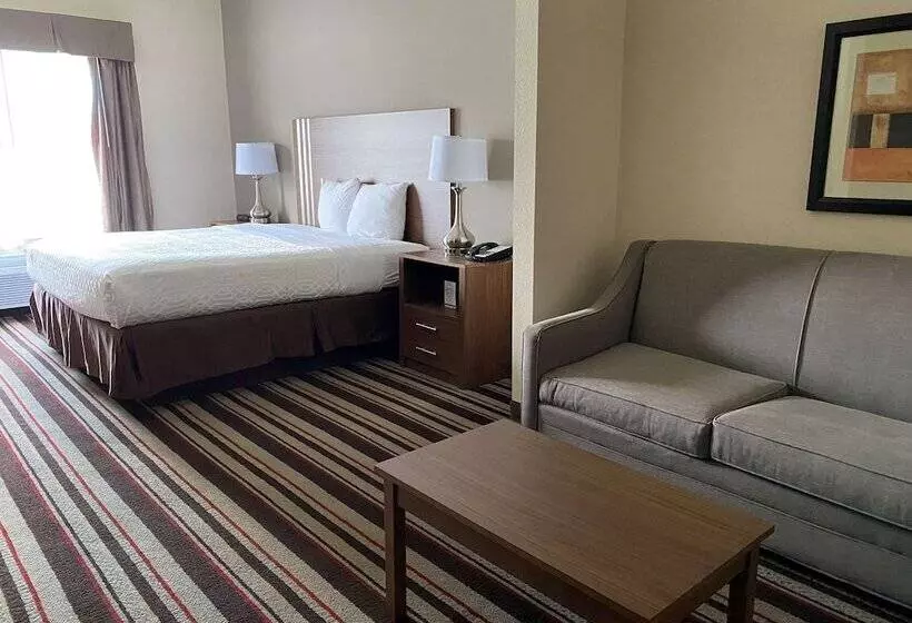 ホテル Best Western Windsor Inn And Suites