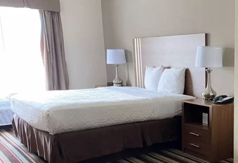 ホテル Best Western Windsor Inn And Suites