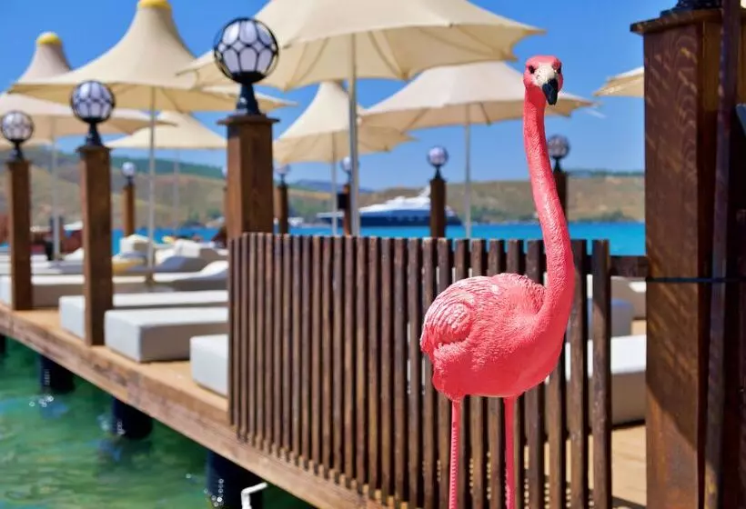 בית מלון כפרי Club Aquarium