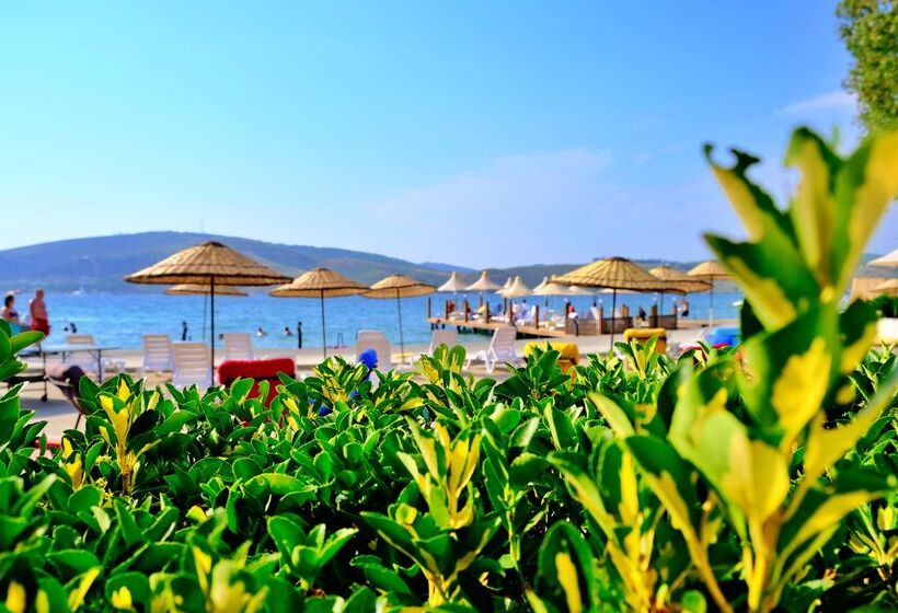 ホテル Club Aquarium