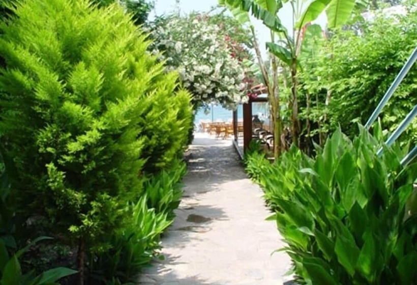 ホテル Club Aquarium