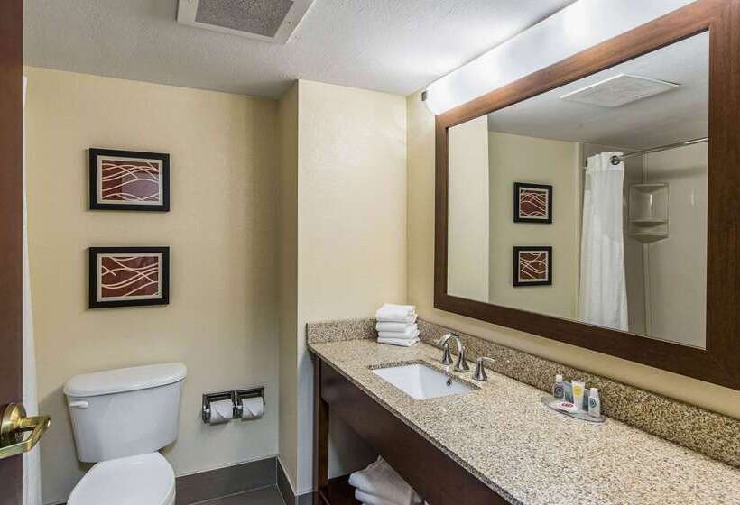 Отель Comfort Inn & Suites Greenwood Near University