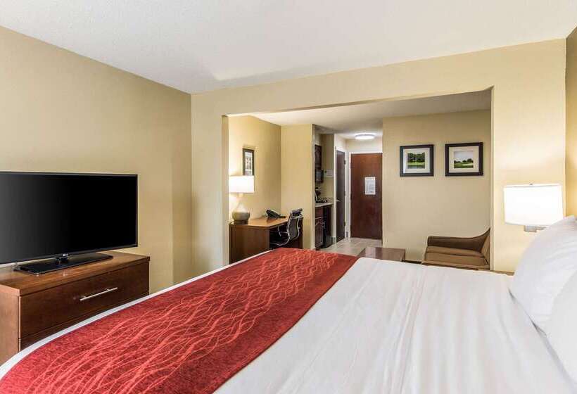 Отель Comfort Inn & Suites Greenwood Near University