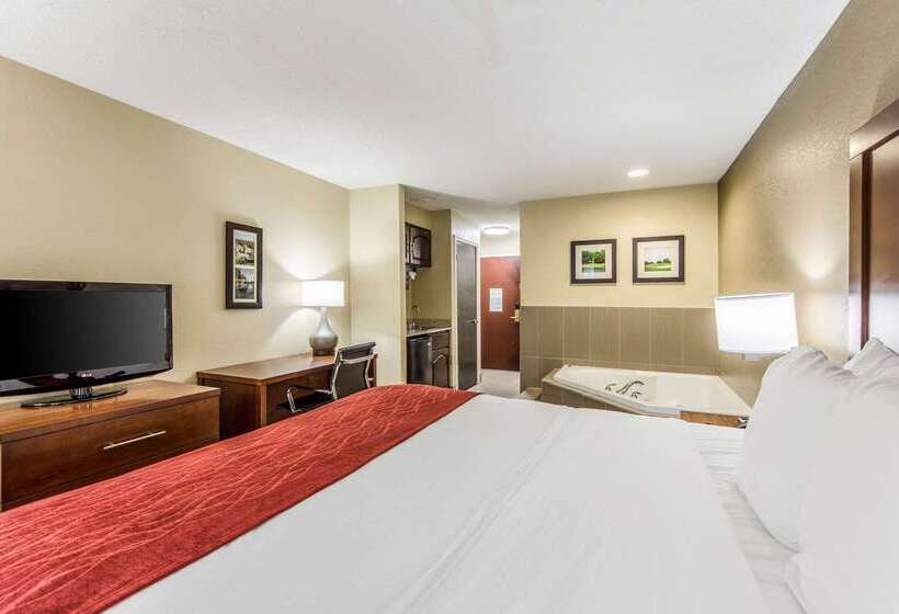 Отель Comfort Inn & Suites Greenwood Near University