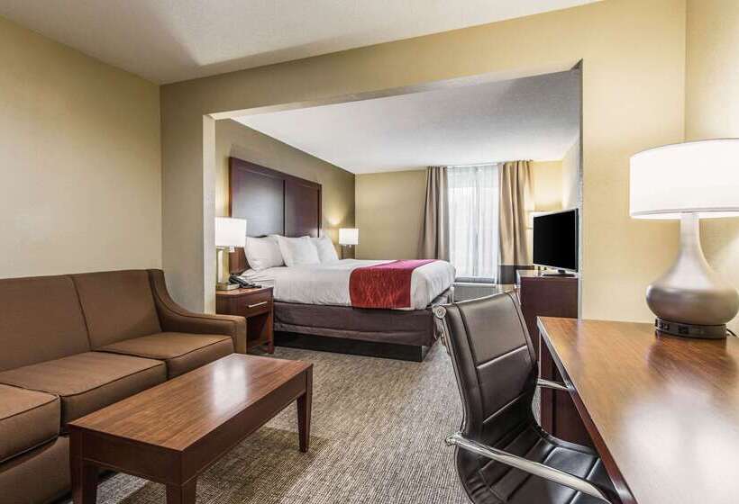 Отель Comfort Inn & Suites Greenwood Near University