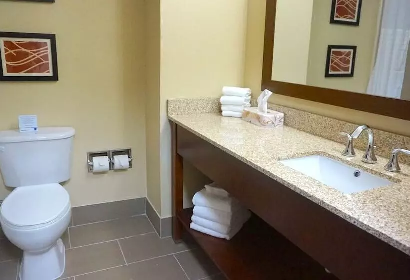 בית מלון כפרי Comfort Inn & Suites Greenwood Near University