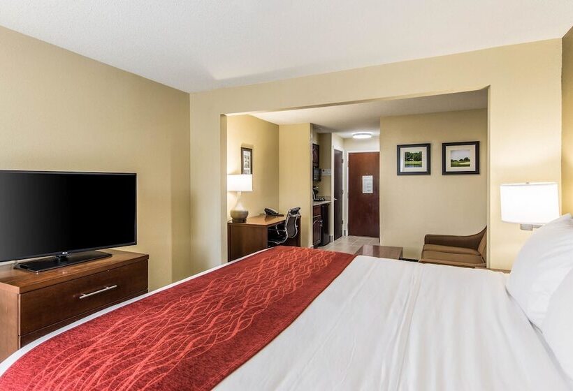 Отель Comfort Inn & Suites Greenwood Near University