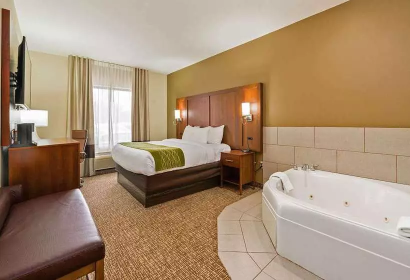 ホテル Comfort Inn & Suites Augusta West Near Fort Eisenhower