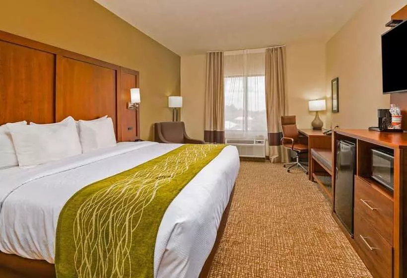 ホテル Comfort Inn & Suites Augusta West Near Fort Eisenhower