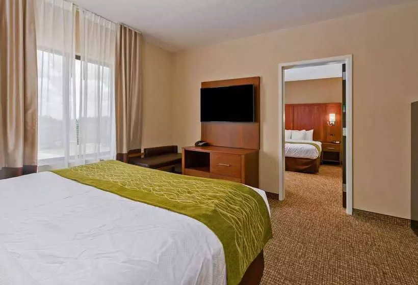 ホテル Comfort Inn & Suites Augusta West Near Fort Eisenhower
