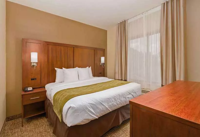 ホテル Comfort Inn & Suites Augusta West Near Fort Eisenhower