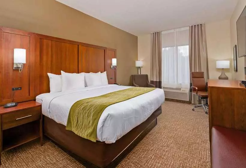 ホテル Comfort Inn & Suites Augusta West Near Fort Eisenhower