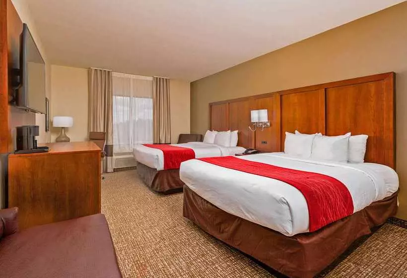 ホテル Comfort Inn & Suites Augusta West Near Fort Eisenhower
