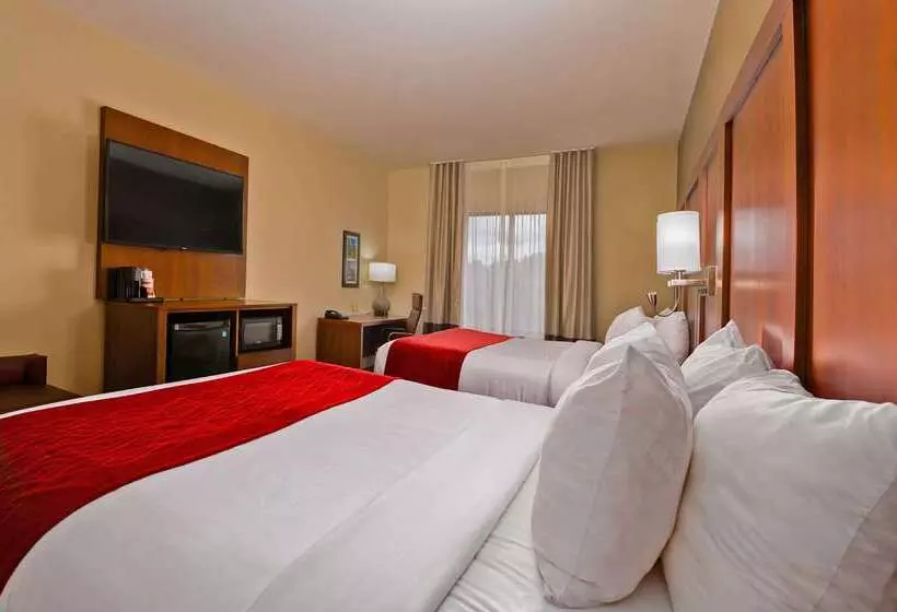 ホテル Comfort Inn & Suites Augusta West Near Fort Eisenhower