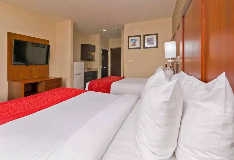 ホテル Comfort Inn & Suites Augusta West Near Fort Eisenhower