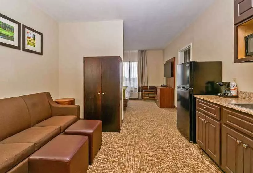 ホテル Comfort Inn & Suites Augusta West Near Fort Eisenhower
