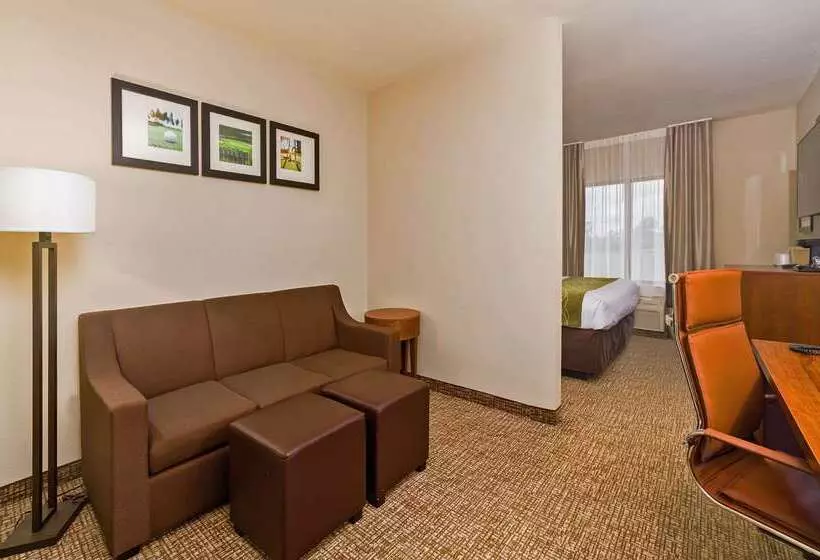 ホテル Comfort Inn & Suites Augusta West Near Fort Eisenhower