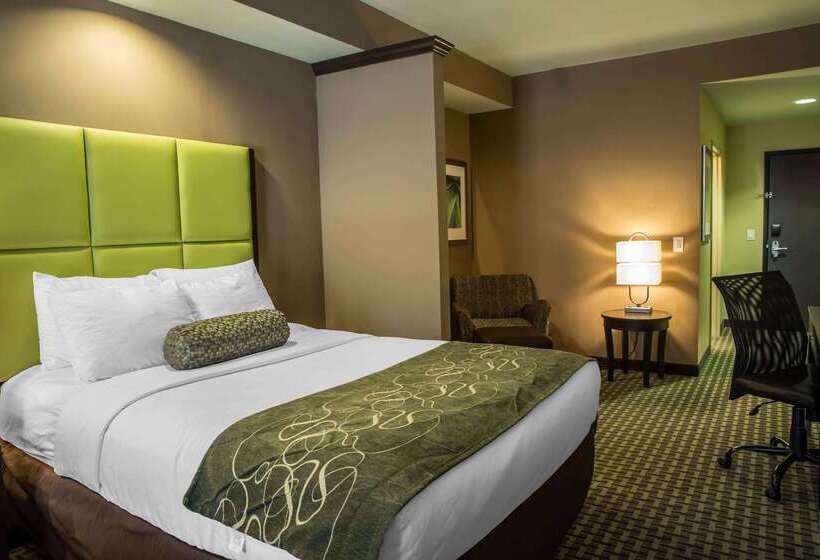 ホテル Comfort Suites New Bern Near Cherry Point