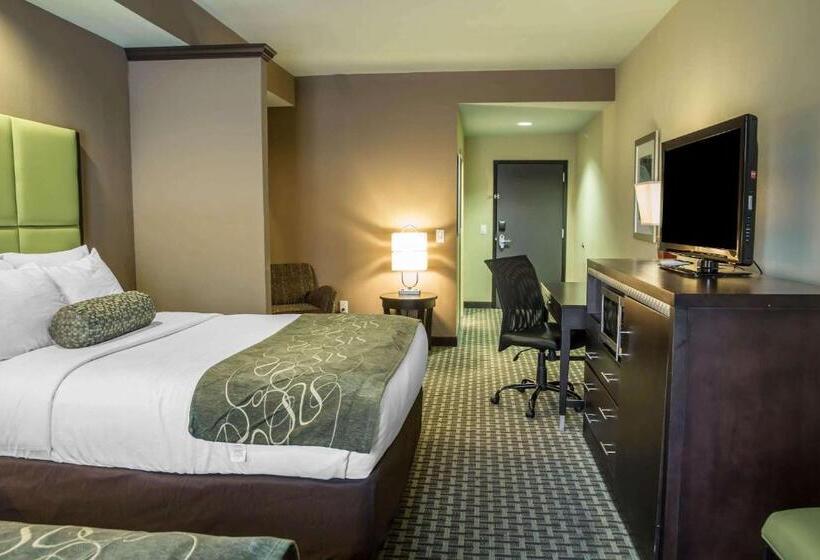 ホテル Comfort Suites New Bern Near Cherry Point