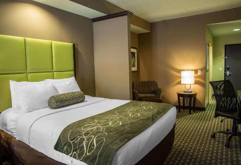 ホテル Comfort Suites New Bern Near Cherry Point