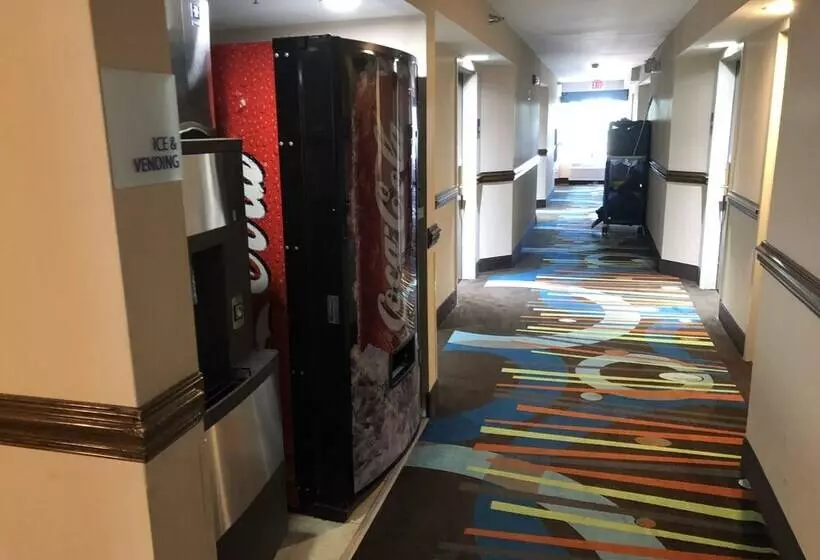 בית מלון כפרי Country Inn & Suites By Radisson, Murrells Inlet, Sc