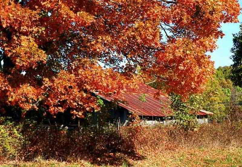 בית מלון כפרי Courtyard By Marriott Fayetteville